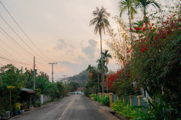istock Tranquil street in tropical town 1957003575