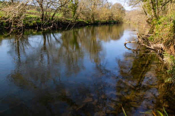 Réflexions printanières sur les rives de la rivière alors que la rivière Torridge coule en aval au-delà de Taddiport jusqu’à la baie de Bideford. - Photo