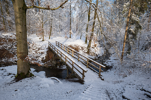 Snow covered forest scene with wooden footbridge over small stream. Top vide angle view, no people.