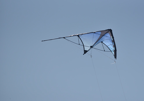 Kite against the sky