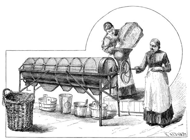ilustrações, clipart, desenhos animados e ícones de produção de alimentos enlatados em braunschweig, duas mulheres trabalhando com uma máquina de triagem de ervilhas - sorter