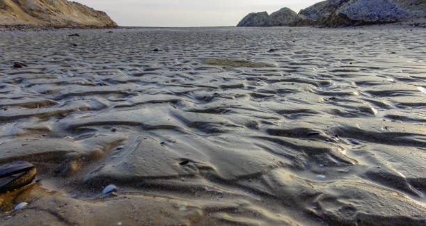 Waves on a muddy bottom in a sea channel at low tide