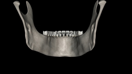 The mandible is the largest and strongest bone of the human skull 3d illustration