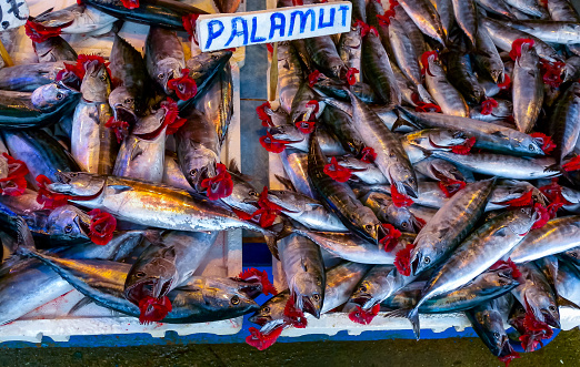 Sale of fish from the Black and Mediterranean Sea at the fish market in Trabzon, Turkiye