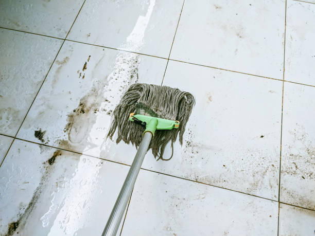 istock tool for cleaning dirty floors, floor mop 1957152213