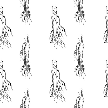 Ginseng root medicinal plant seamless pattern hand drawn sketch repeating background with engraved roots vector illustration.Botanical East herb Ingredient design for food, tea alternative, medicine. For print, paper, wrapping, card, label, template