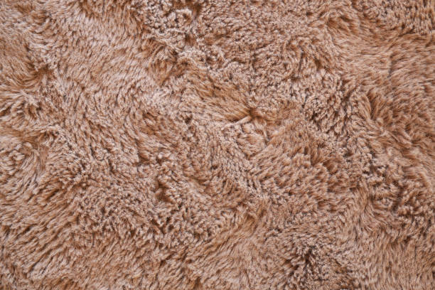 istock Brown fur texture background. Top view and close up. 1957186800