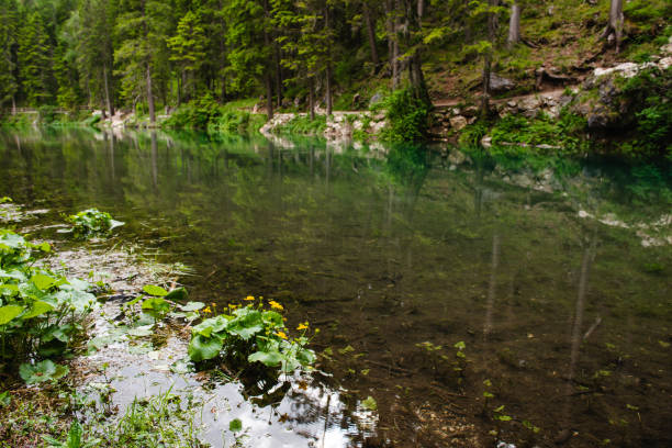 View on Braies Lake landscape