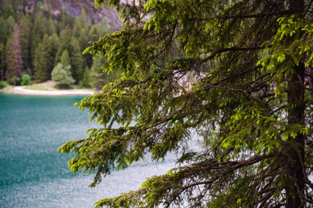 View on Braies Lake landscape