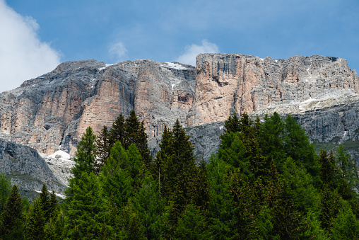Nature of Corsica island, mountain landscape with pine trees