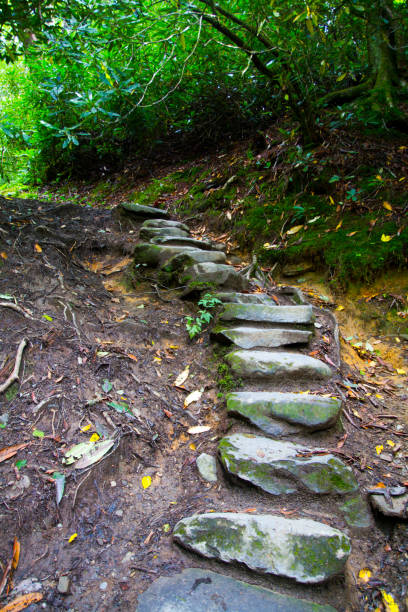 istock Ascending Rustic Stone Staircase in Lush Tennessee Forest 1957209230