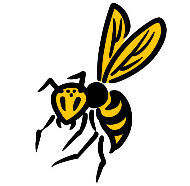 420+ Wasp Warning Signs Stock Photos, Pictures & Royalty-Free Images ...