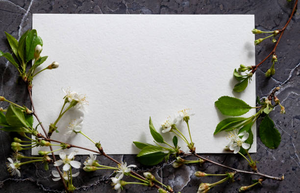 istock Floral layout on a vintage white wooden background and computer partially. Spring flowers, woman freelancing concept. View from above. 1957242526