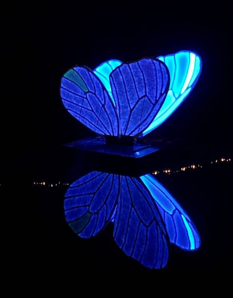 istock Lights in the night festival 1957251474