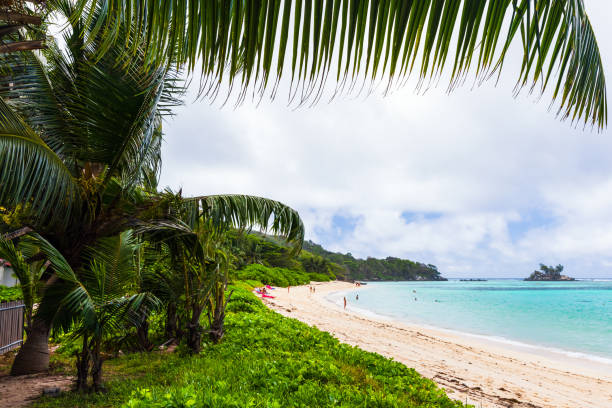 istock Anse Royale beach on a summer day, Seychelles. Coastal view 1957252598