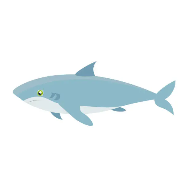 Vector illustration of Shark.