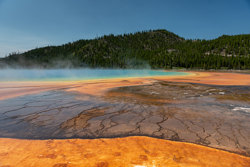 The colorful Grand Prismatic Spring in Yellowstone National Park is the largest hot spring in the United States. The bright colors of the hydrothermal basin come from microorganisms, called thermophiles, that thrive in hot temperatures.