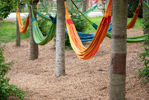 Set with different hammocks in the garden.. High quality photo