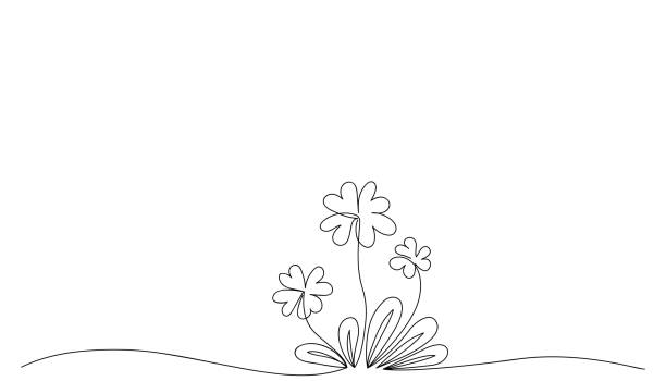 ilustrações, clipart, desenhos animados e ícones de folhas abstratas de trevo desenhadas por uma linha. esquete. design para arte de tatuagem, dia de são patrício, dia do trevo. ilustração vetorial no estilo doodle. - spring clover leaf shape clover sketch