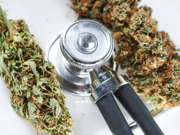 istock cannabis buds and stethoscope on  white background. 1957349894