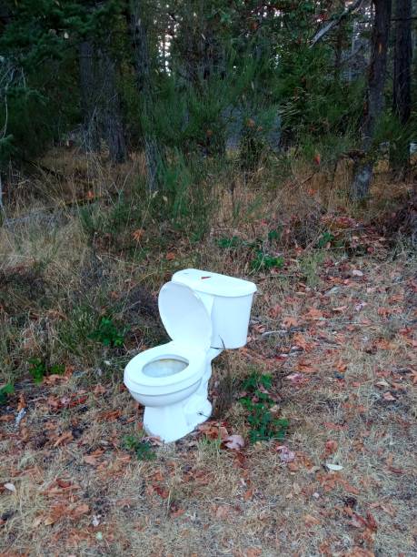 istock Old ceramic toilet in the nature park 1957373395