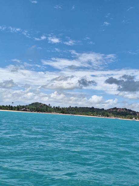 istock Blue sea and the tropical flora 1957397331