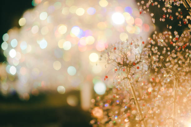 Sparkling Christmas illuminations in Hakone