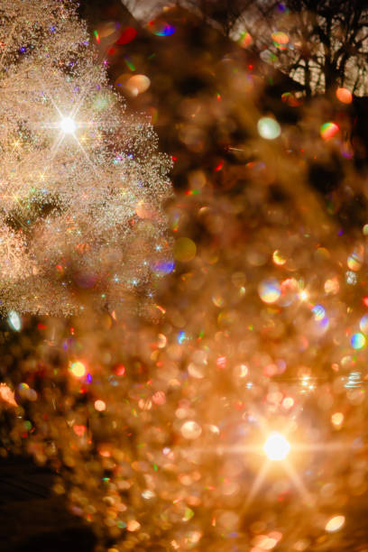Sparkling Christmas illuminations in Hakone