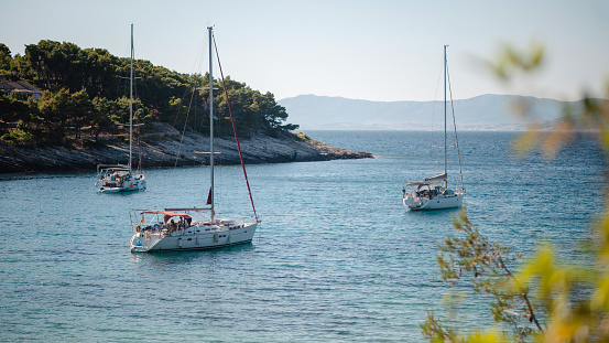 Adriatic sea with three motor yachts against background of dense forest on Brac island, Croatia. Concept of water activity, summer vacation and landscapes.