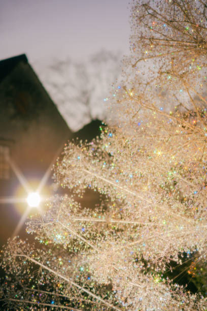 istock Sparkling Christmas illuminations in Hakone 1957406088