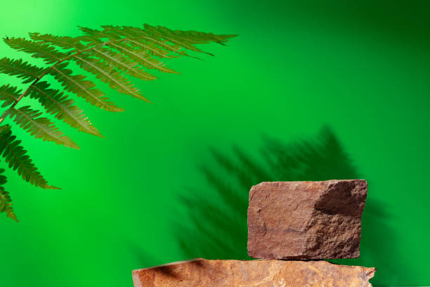 istock Stone display for product against green background 1957407245