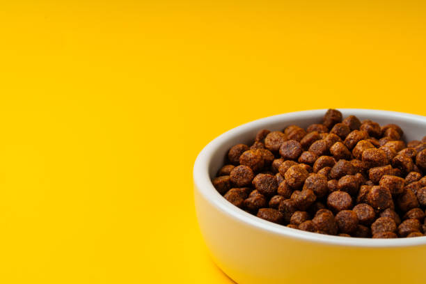 istock Bowl with dry pet food on yellow background studio shot 1957407775