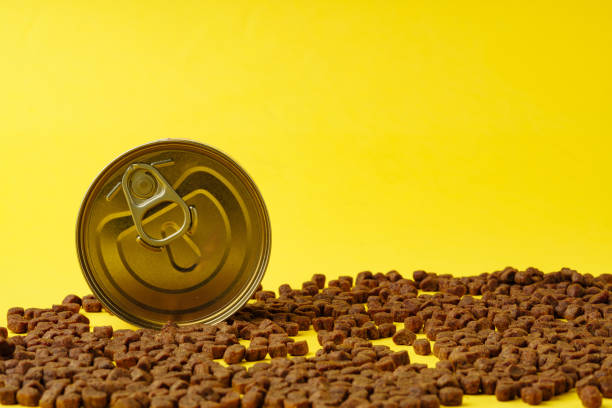 Cat food on yellow background studio shot close up