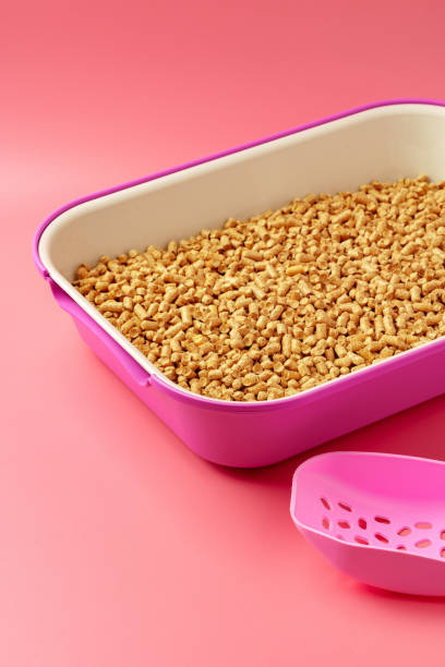 istock Pet litter box with bio filler on pink background 1957408361