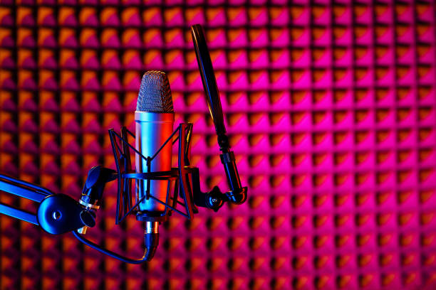 Microphone transmits the sound from the guitar amplifier to the mixer for the perfect sound on stage