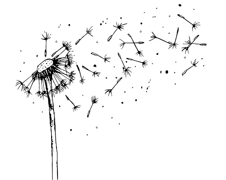 Handdrawn flat sketch of a flowers with flying seeds