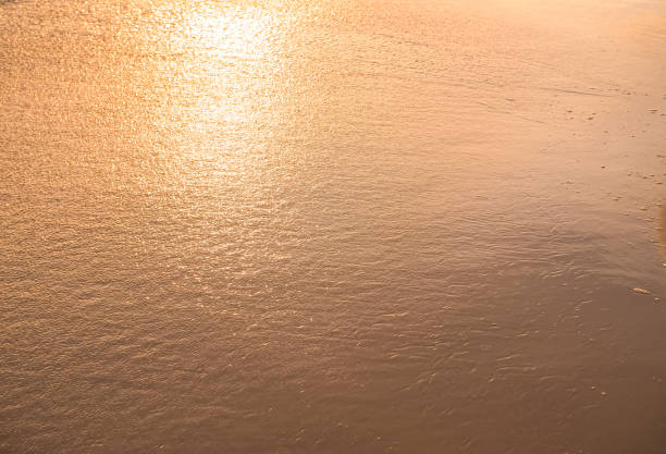 istock Water and sand at the beach in sunset time 1957429605