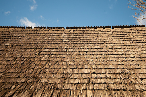 Background: roof of straw and sky.