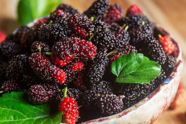 istock fresh mulberry in ceramic bowl. 1957477507