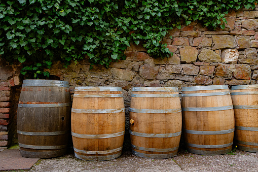 A row of whisky barrels against a stone wall in a castle covered with ivy in Germany.