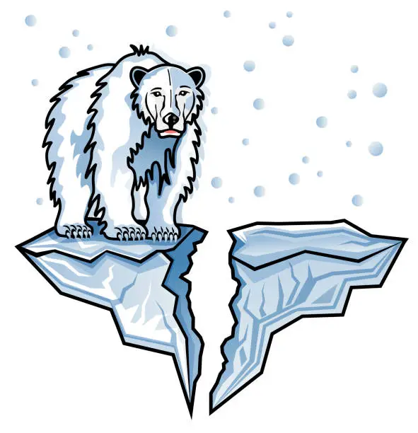 Vector illustration of Polar Bear in Arctic on broken Iceberg illustration