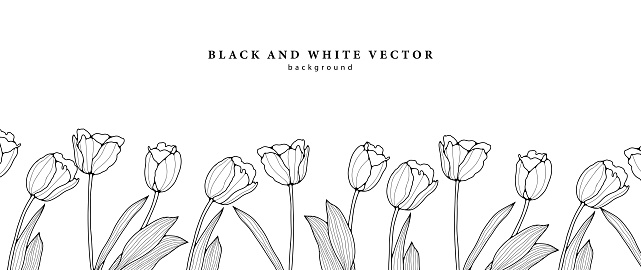 Black and white minimalistic background with tulip flowers. Floral background, wallpaper, cover design, postcard