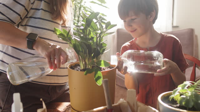Family taking care of plants at home in springtime. Mother teaching her child to plant.