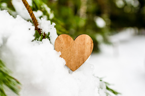 One wooden heart on the winter snow,blur trees forest background.copy space,closeup.