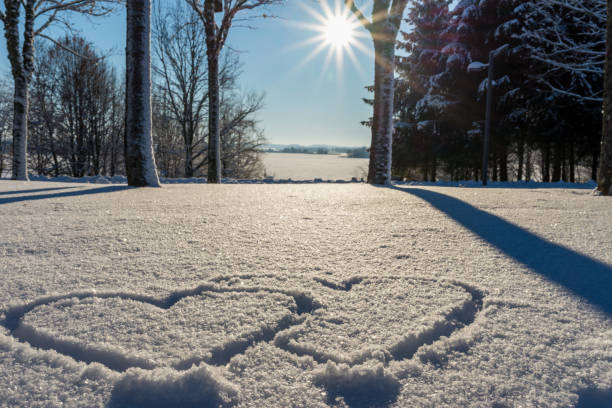 istock hand drawn two heart shape in the fresh snow.Blurred sunlight park forest trees background. 1957570549
