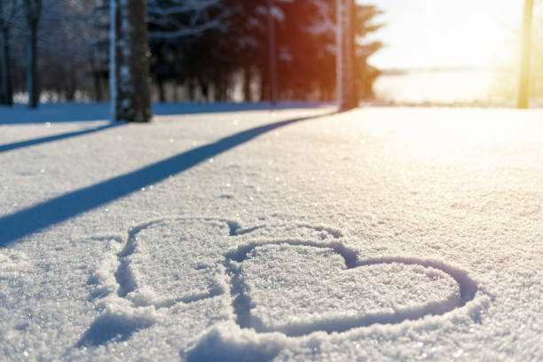 istock hand drawn two heart shape in the fresh snow.Blurred sunset park forest trees background. 1957570551