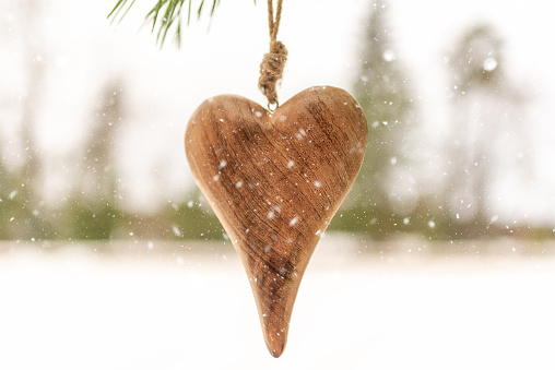 Wooden heart Pine branch in winter snow close up. Snow fir branch in forest. a symbol of romantic love in the snow on a spruce branch, Valentine's Day concept.Copy space.