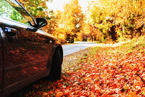 istock Car on asphalt road on autumn day at forest or park.Selective focus,copy space. 1957633509