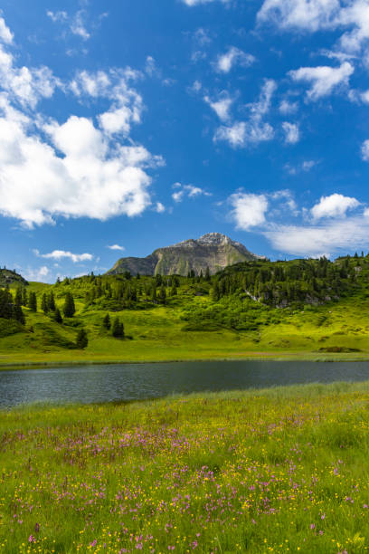 landscapes near kalbelesee, hochtann mountain pass, warth, vorarlberg, austria - kalbelesee 뉴스 사진 이미지
