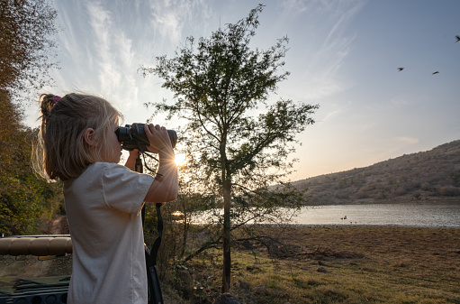 Young girl scouting for Bengal Tigers in the  breathtaking jungle scenery of Ranthambore National Park in Rajasthan, India Asia